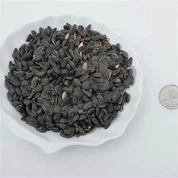 Nasiona słonecznika dla ptaków