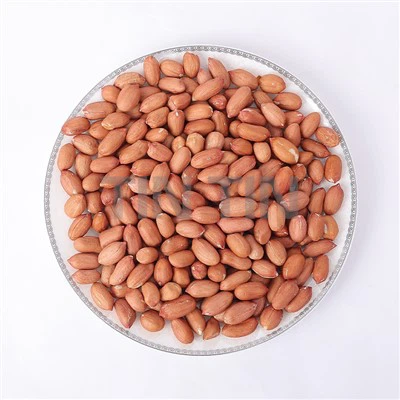 Jądra orzeszków ziemnych