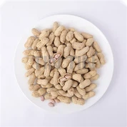 Prażone Orzeszki Ziemne W Skorupach