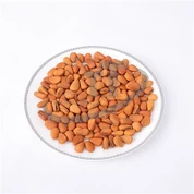 Pieczone Orzeszki Sosnowe