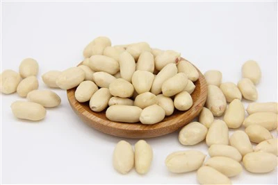 Hurtowa sprzedaż blanszowanych orzechów arachidowych 25/29