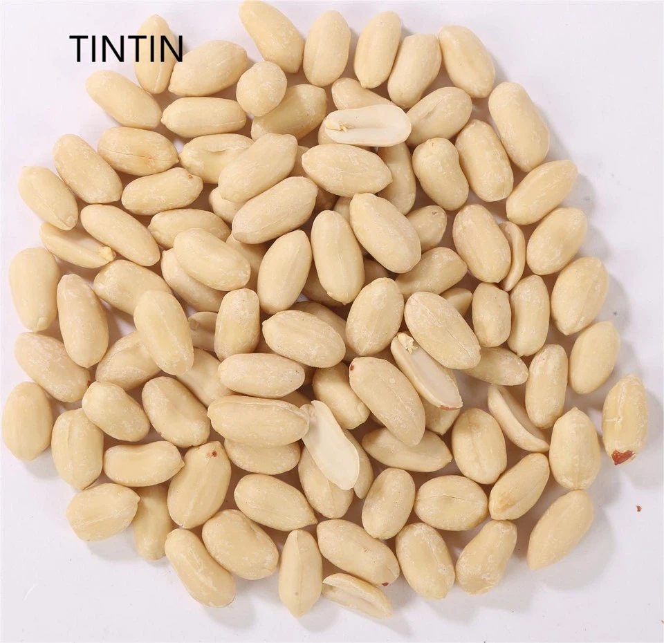 Wyprzedaż z rabatem Wyjątkowej jakości blanszowane orzechy arachidowe