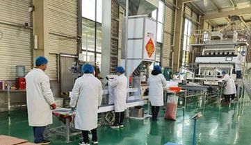 p20240612151059e002f p20240612151059e002f