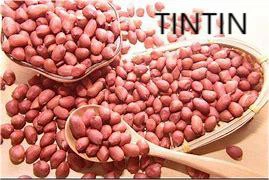 Chińskie pestki orzechów arachidowych