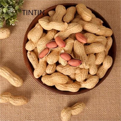 Chińskie prażone orzeszki ziemne w skorupkach