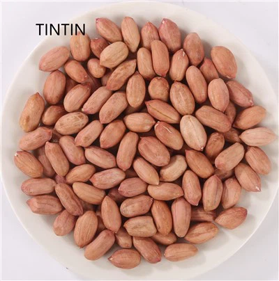 Wysokiej jakości chińskie pestki orzechów ziemnych