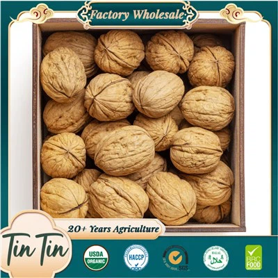 Premium jakości orzechy włoskie świeże i pożywne!