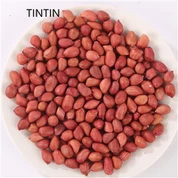 Gorące Sprzedaży Chińskich Czerwonych Skórek Orzeszków Ziemnych